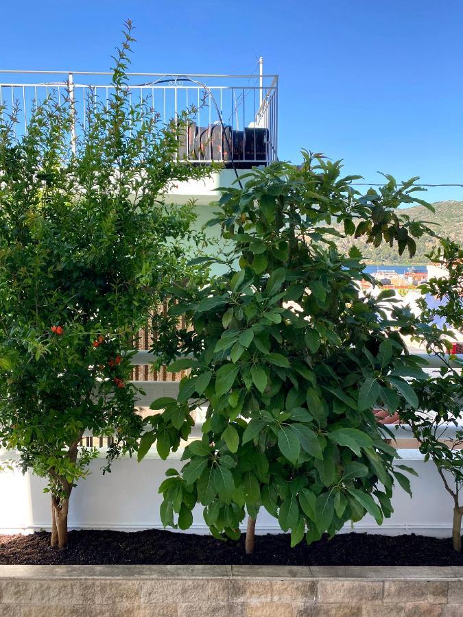 Citrus Apartment Argostoli  Zewnętrze zdjęcie